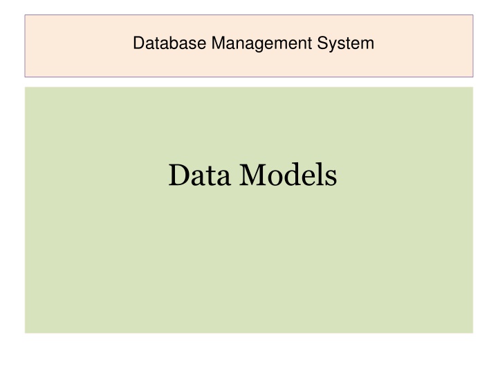 database management system n.w