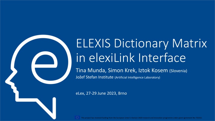 elexis dictionary matrix in elexilink interface n.w