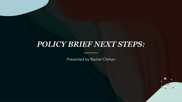 policy brief next steps n.w