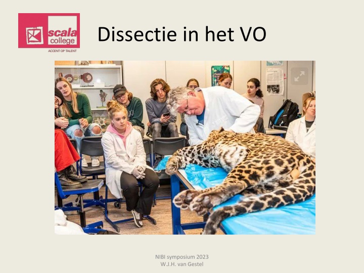 Organizing a Dissection Practicum at the NIBI Symposium 2023