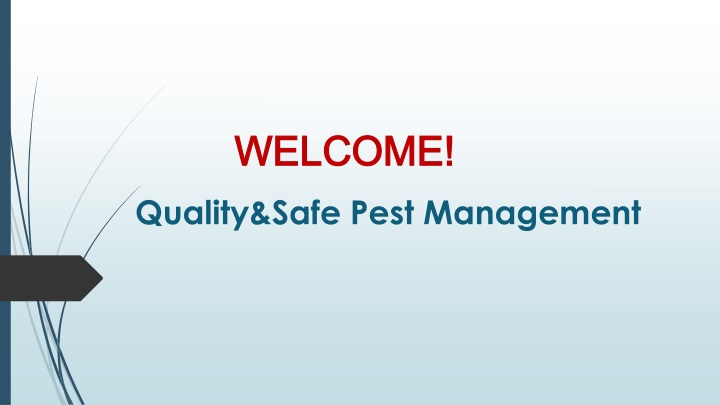 Best Residential Pest Control in Mount Druitt