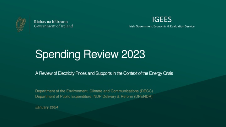 Analysis of Government Interventions on Energy Prices in Ireland