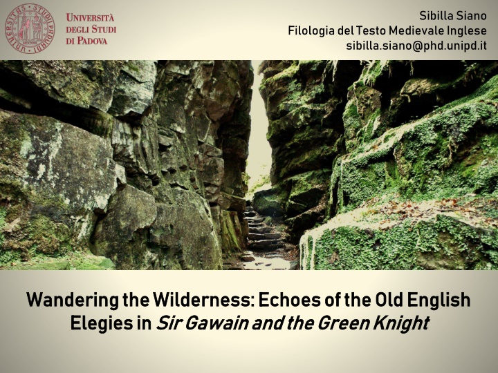 Medieval English Texts: Cotton MS Nero A.X/2 and Sir Gawain and the Green Knight