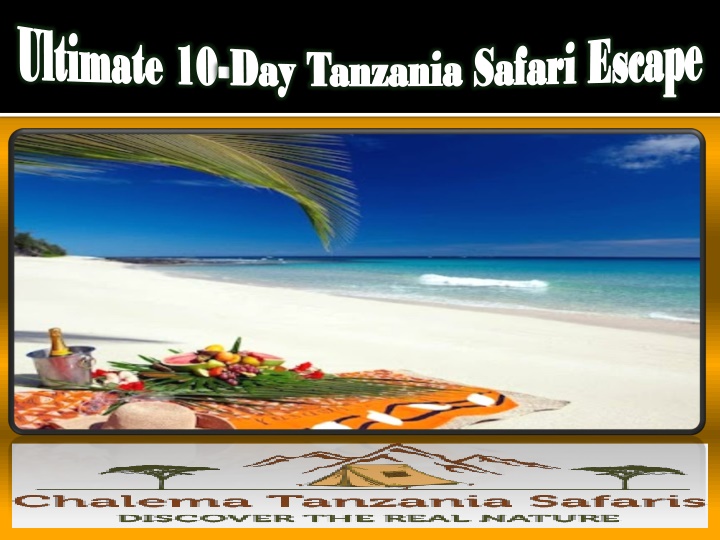 Ultimate 10-Day Tanzania Safari Escape