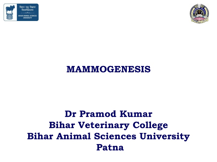 mammogenesis n.w
