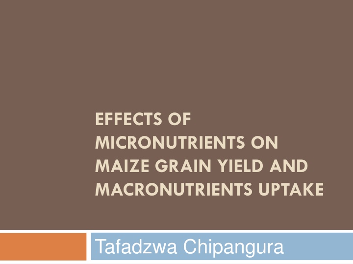 effects of micronutrients on maize grain yield n.w