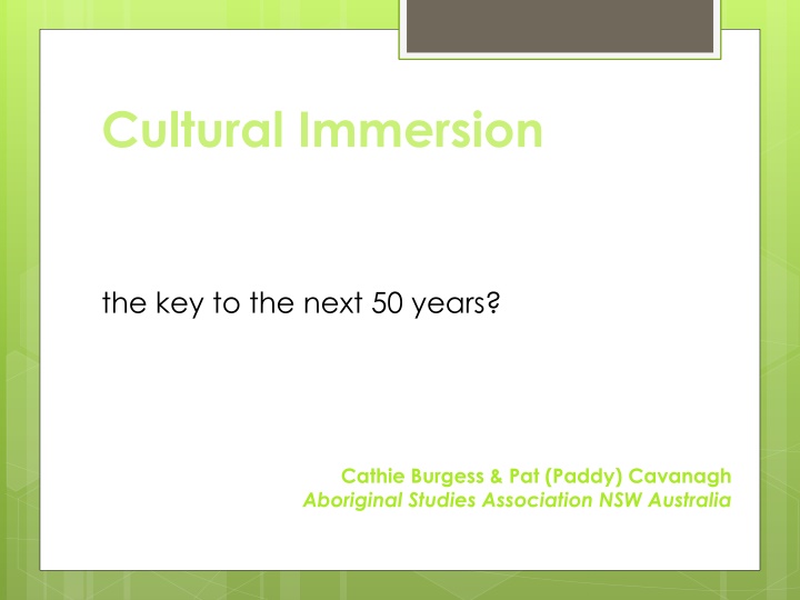 cultural immersion n.w