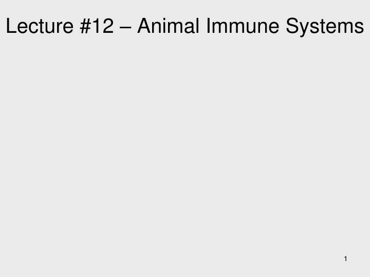 lecture 12 animal immune systems n.w