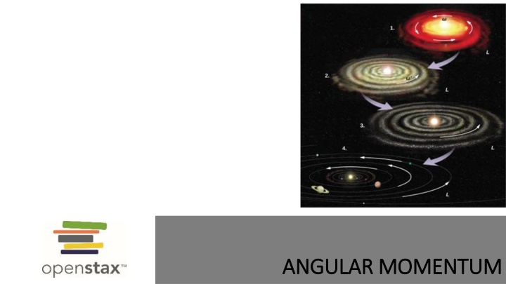 angular momentum angular momentum n.w