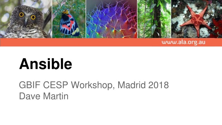 ansible n.w