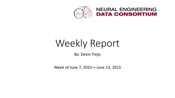 weekly report n.w