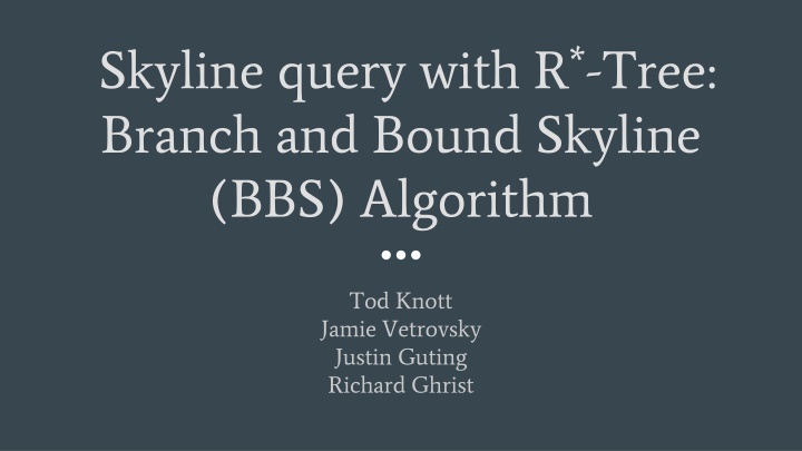 skyline query with r tree branch and bound n.w