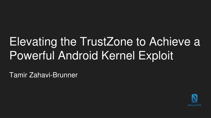 elevating the trustzone to achieve a powerful n.w