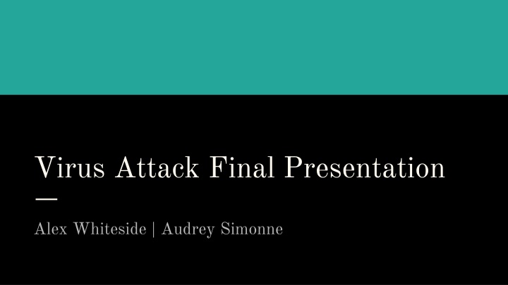 virus attack final presentation n.w