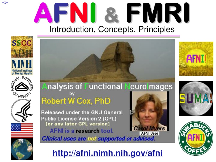 a af fn ni i fmri introduction concepts principles n.w