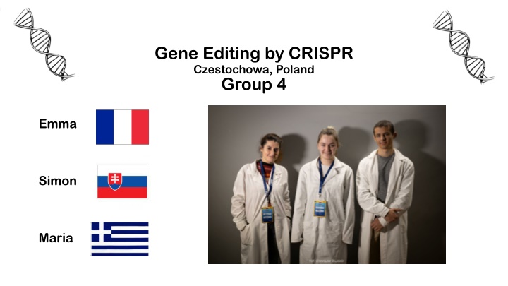 gene editing by crispr czestochowa poland group 4 n.w