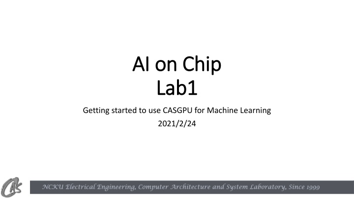 ai on chip ai on chip lab1 lab1 n.w