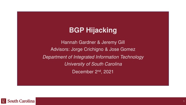 bgp hijacking n.w