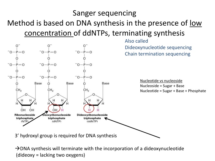 sanger sequencing n.w