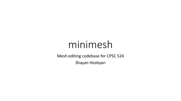 minimesh n.w