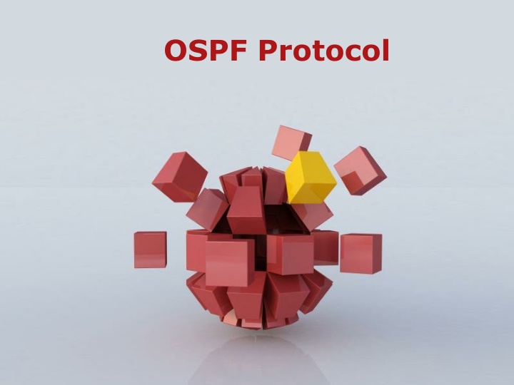 ospf protocol n.w