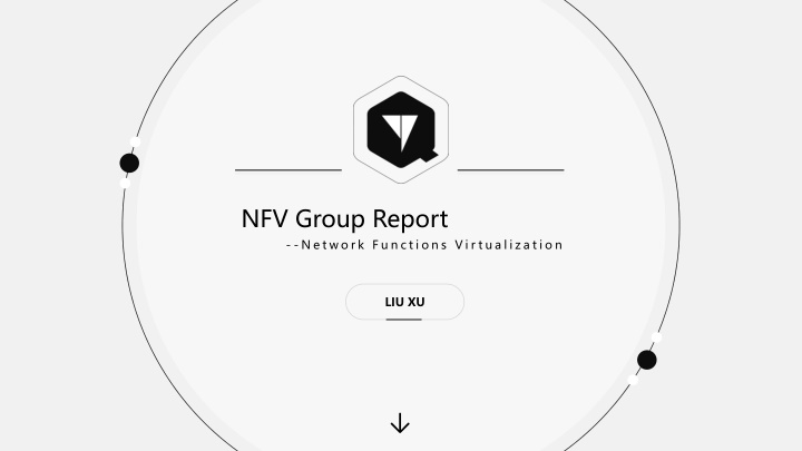nfv group report n.w