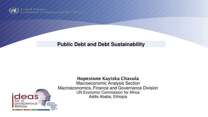 public debt and debt sustainability n.w