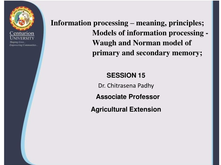 information processing meaning principles models n.w
