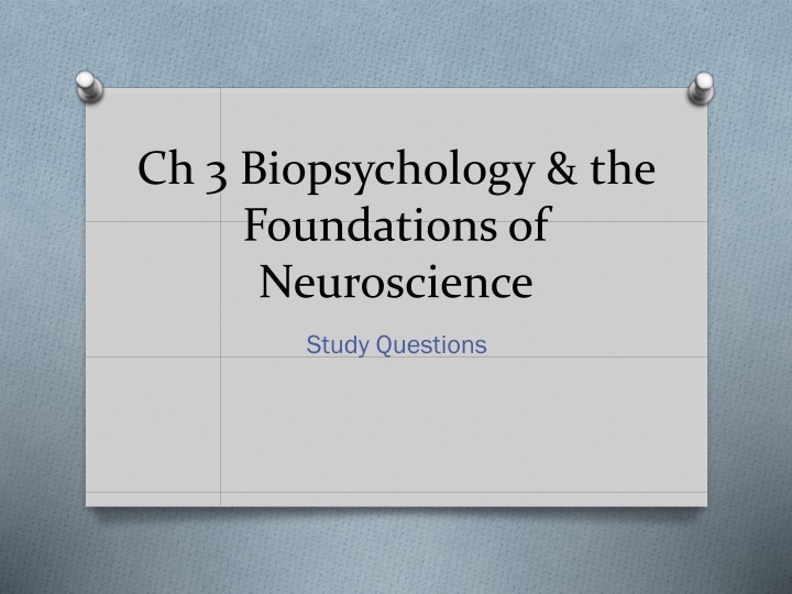 ch 3 biopsychology the foundations of neuroscience n.w