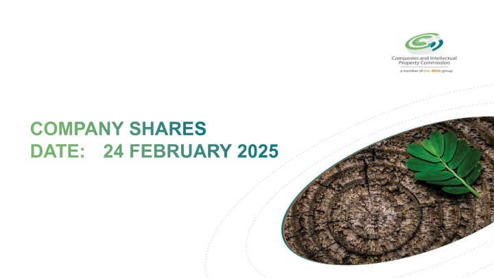 company shares date 24 february 2025 n.w