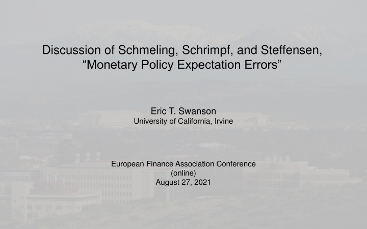 discussion of schmeling schrimpf and steffensen n.w