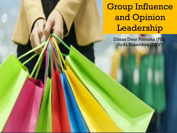 group influence and opinion leadership n.w