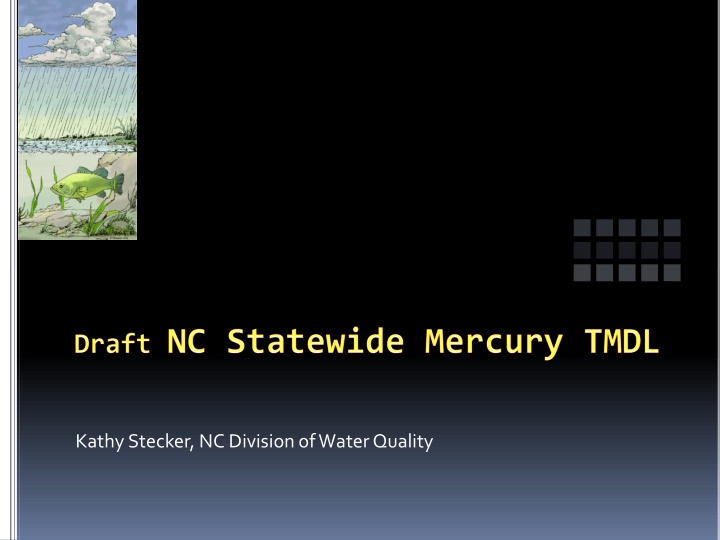 kathy stecker nc division of water quality n.w