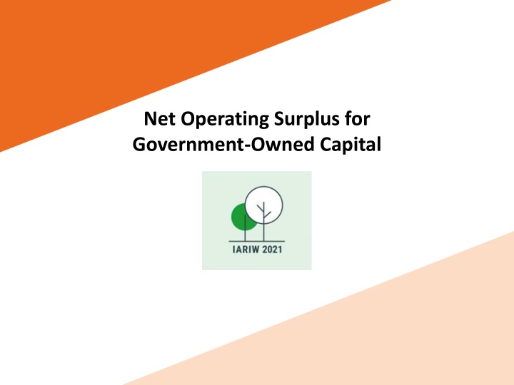 net operating surplus for government owned capital n.w