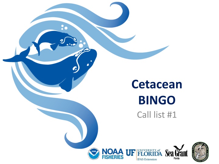 cetacean bingo call list 1 n.w