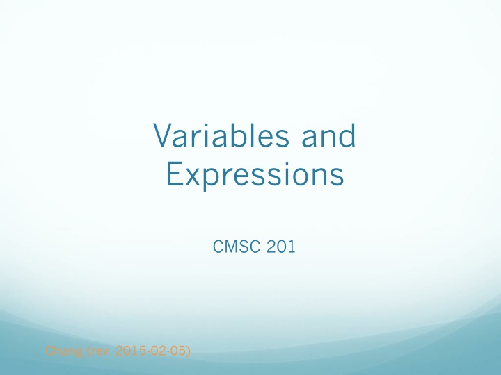 variables and expressions n.w