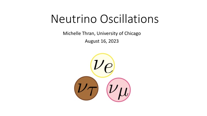 neutrino oscillations n.w
