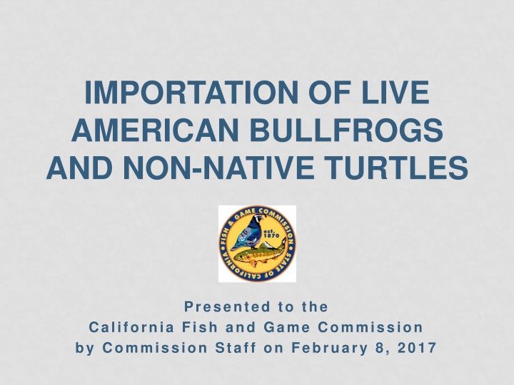 importation of live american bullfrogs n.w