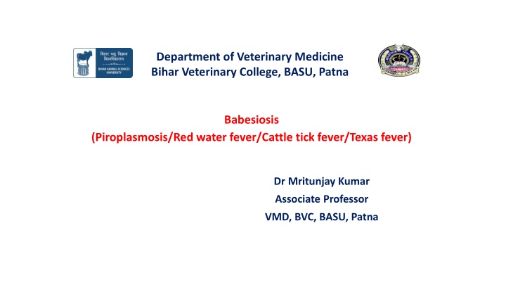 department of veterinary medicine bihar n.w