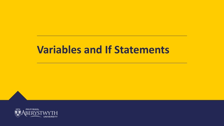 variables and if statements n.w