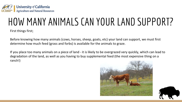 how many animals can your land support first n.w
