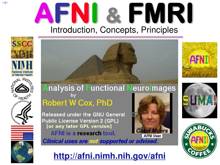 a af fn ni i fmri introduction concepts principles n.w