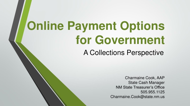 online payment options for government n.w