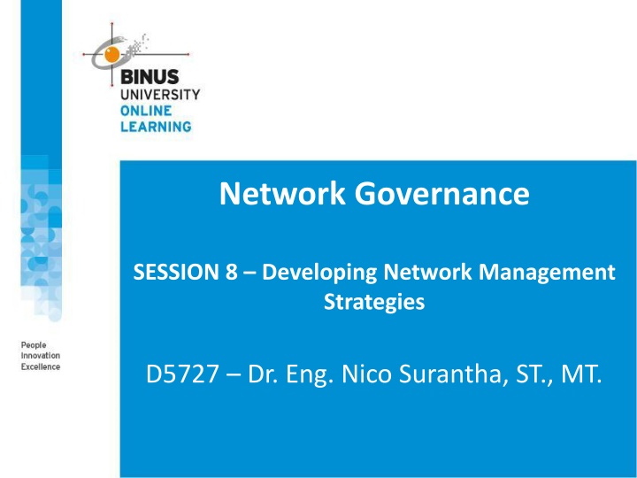 network governance n.w