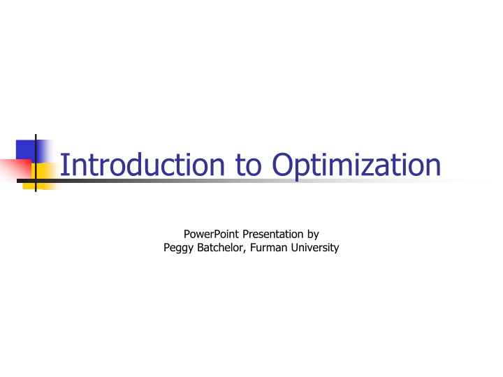 introduction to optimization n.w