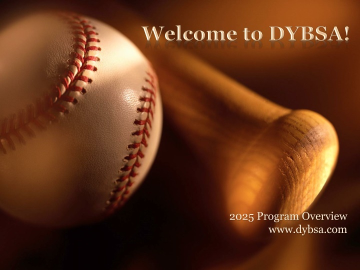 2025 program overview www dybsa com n.w