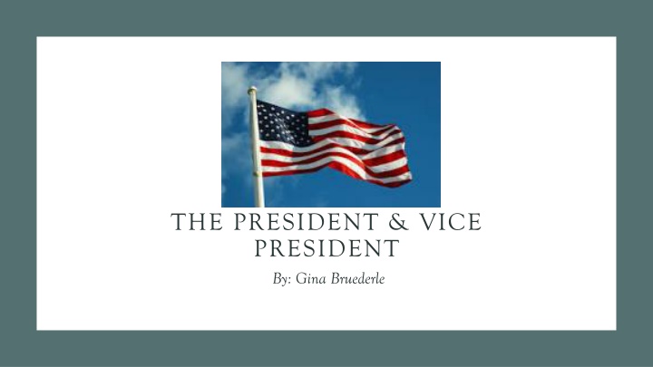 the president vice president by gina bruederle n.w