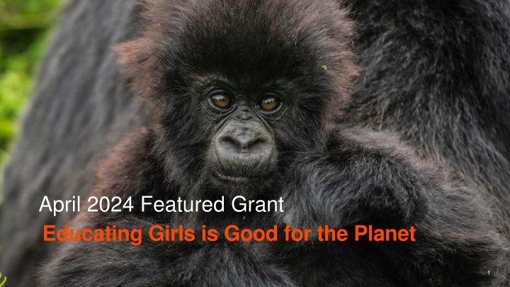 april 2024 featured grant educating girls is good n.w