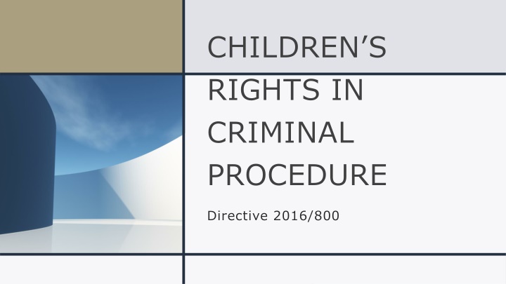 children s rights in criminal procedure n.w