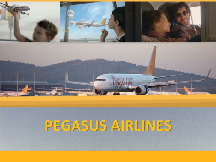 pegasus airlines n.w